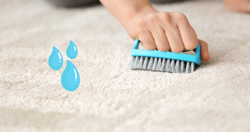 Cần lưu ý một số điều như tránh giặt thảm quá ướt hay dùng những hóa chất mạnh vì thảm có thể bị hư hỏng nếu không được vệ sinh đúng cách