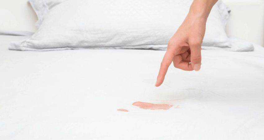Học ngay cách tẩy vết máu khô trên nệm hiệu quả, áp dụng kinh nghiệm để vệ sinh sofa vải sạch đẹp!