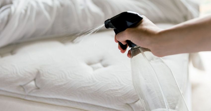 Cách vệ sinh nệm cao su Vạn Thành hiệu quả