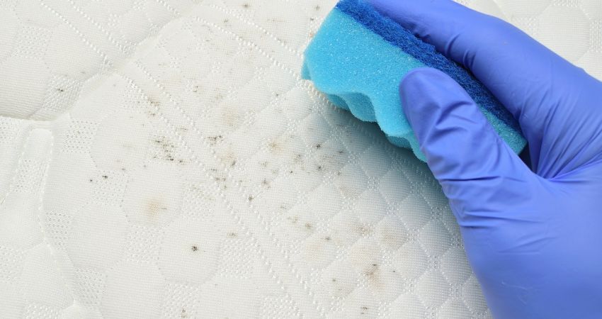 Việc giặt nệm thường xuyên còn giúp bạn tiết kiệm chi phí thay nệm mới