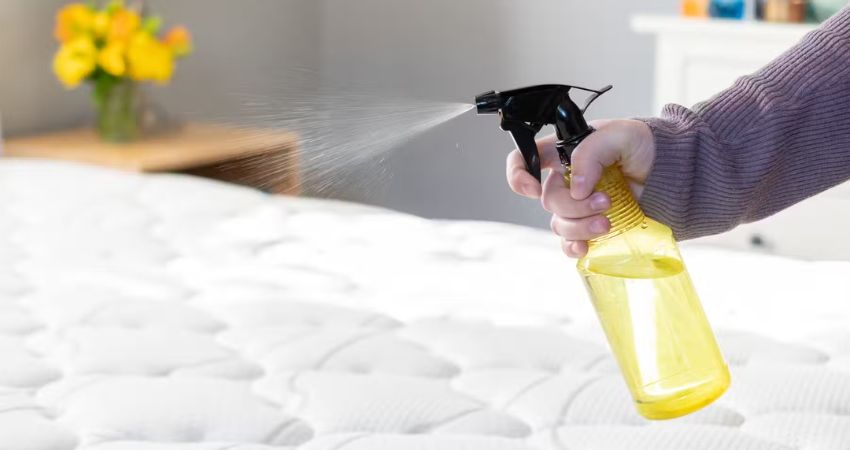 Quy trình giặt nệm Bình Tân của Vesinhtoday chuyên nghiệp, tối ưu