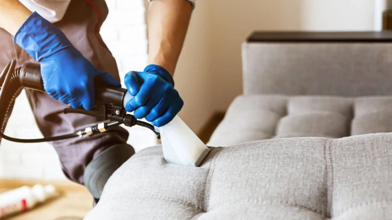 Những tiêu chí để bạn đánh giá dịch vụ vệ sinh ghế sofa chuyên nghiệp