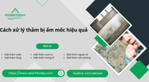 Cách xử lý thảm bị ẩm mốc hiệu quả
