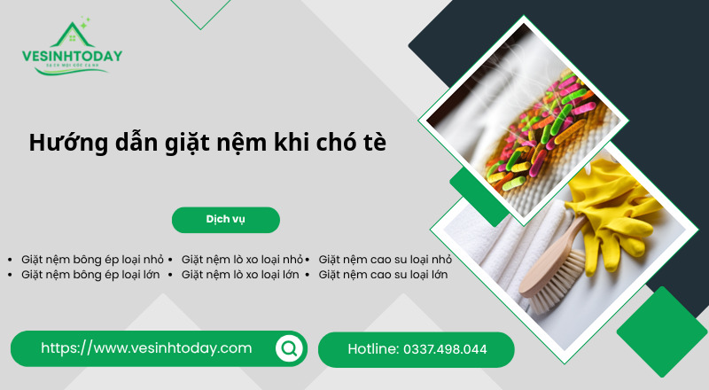 Hướng dẫn giặt nệm khi chó tè