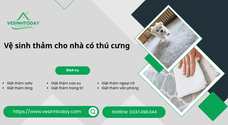 Vệ sinh thảm cho nhà có thú cưng